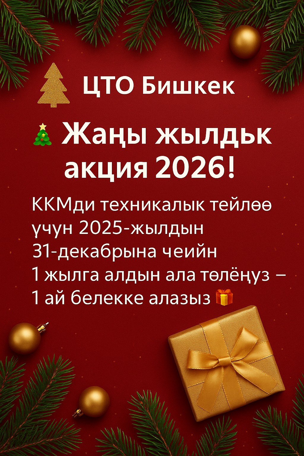 Жаңы жылдык акция 2026